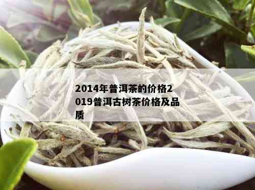 2014年普洱茶的价格2019普洱古树茶价格及品质