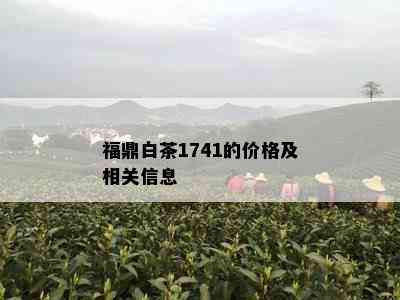 福鼎白茶1741的价格及相关信息