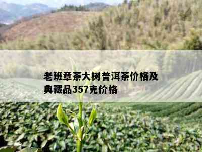 老班章茶大树普洱茶价格及典藏品357克价格