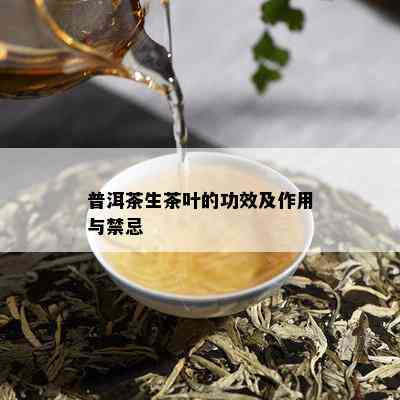 普洱茶生茶叶的功效及作用与禁忌