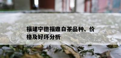 福建宁德福鼎白茶品种、价格及好坏分析