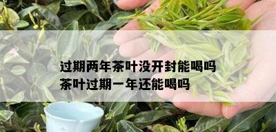 过期两年茶叶没开封能喝吗茶叶过期一年还能喝吗