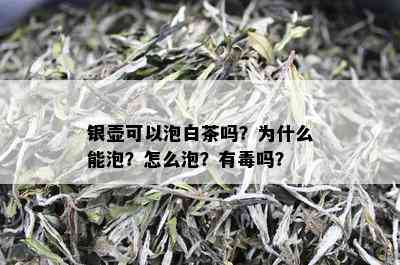 银壶可以泡白茶吗？为什么能泡？怎么泡？有吗？