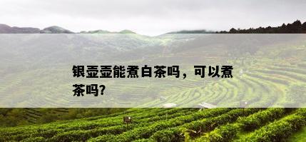 银壶壶能煮白茶吗，可以煮茶吗？