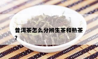 普洱茶怎么分辨生茶和熟茶？