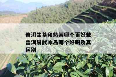 普洱生茶和熟茶哪个更好些普洱易武冰岛哪个好喝及其区别