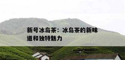 新号冰岛茶：冰岛茶的新味道和独特魅力