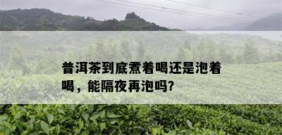 普洱茶到底煮着喝还是泡着喝，能隔夜再泡吗？