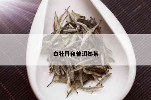 白牡丹和普洱熟茶