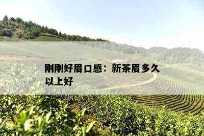 刚刚好眉口感：新茶眉多久以上好