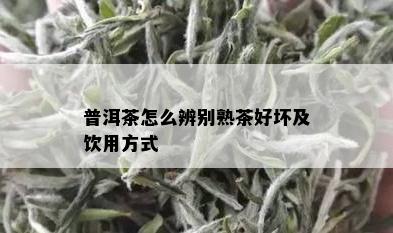 普洱茶怎么辨别熟茶好坏及饮用方式