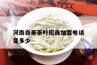 河南白茶茶叶招商加盟电话是多少