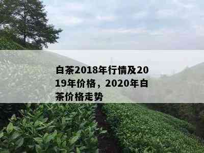 白茶2018年行情及2019年价格，2020年白茶价格走势