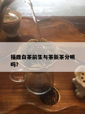 福鼎白茶前生与茶新茶分明吗？