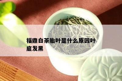 福鼎白茶胎叶是什么原因叶底发黑