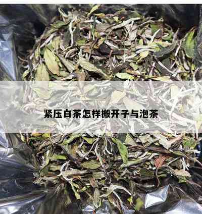 紧压白茶怎样搬开子与泡茶