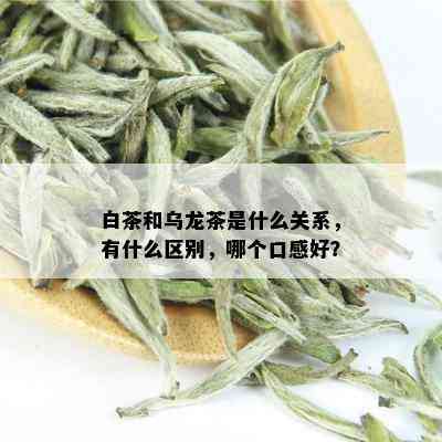 白茶和乌龙茶是什么关系，有什么区别，哪个口感好？