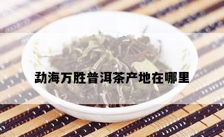 勐海万胜普洱茶产地在哪里