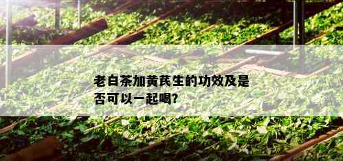 老白茶加黄芪生的功效及是否可以一起喝？