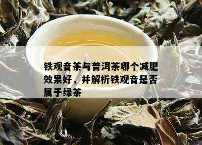 铁观音茶与普洱茶哪个减肥效果好，并解析铁观音是否属于绿茶