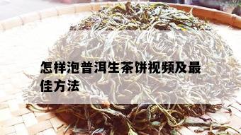 怎样泡普洱生茶饼视频及更佳方法