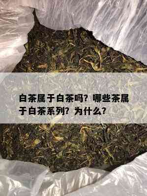 白茶属于白茶吗？哪些茶属于白茶系列？为什么？