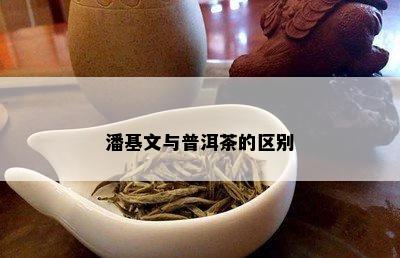 潘基文与普洱茶的区别