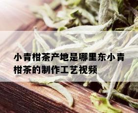 小青柑茶产地是哪里东小青柑茶的制作工艺视频