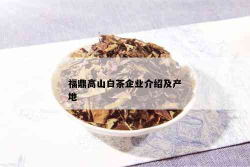 福鼎高山白茶企业介绍及产地