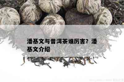 潘基文与普洱茶谁厉害？潘基文介绍