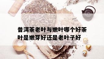 普洱茶老叶与嫩叶哪个好茶叶是嫩芽好还是老叶子好