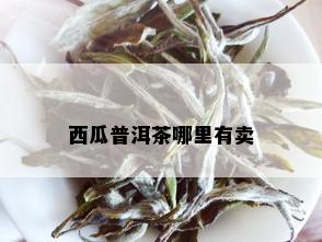 西瓜普洱茶哪里有卖