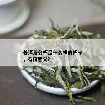 普洱茶公杯是什么样的杯子，有何意义？