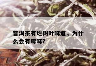 普洱茶有烂树叶味道，为什么会有霉味？