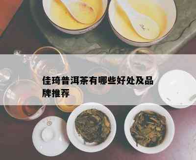 佳琦普洱茶有哪些好处及品牌推荐