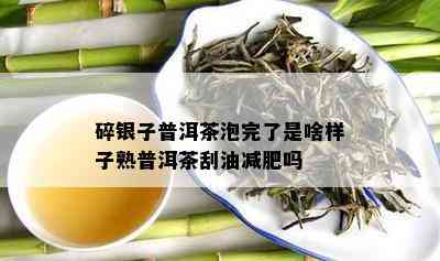 碎银子普洱茶泡完了是啥样子熟普洱茶刮油减肥吗