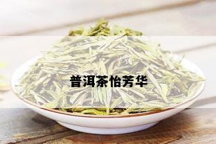 普洱茶怡芳华