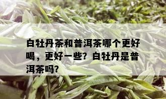 白牡丹茶和普洱茶哪个更好喝，更好一些？白牡丹是普洱茶吗？