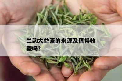 兰韵大益茶的来源及值得收藏吗？