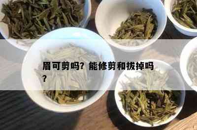 眉可剪吗？能修剪和拔掉吗？