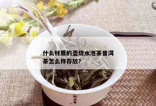 什么材质的壶烧水泡茶普洱茶怎么样存放？