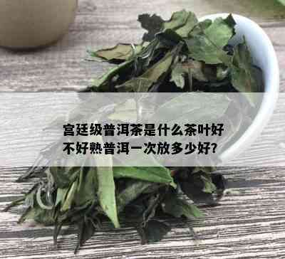 宫廷级普洱茶是什么茶叶好不好熟普洱一次放多少好？