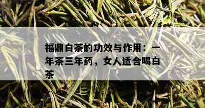 福鼎白茶的功效与作用：一年茶三年，女人适合喝白茶