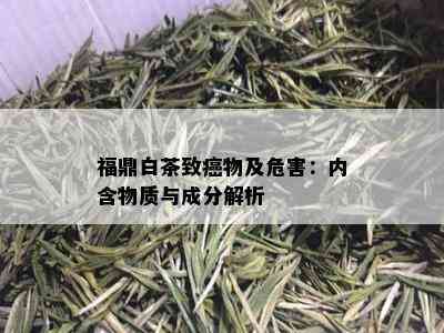 福鼎白茶致癌物及危害：内含物质与成分解析