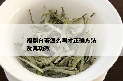 福鼎白茶怎么喝才正确方法及其功效