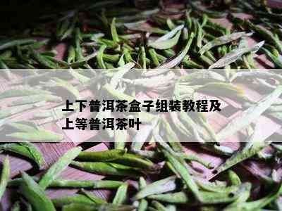 上下普洱茶盒子组装教程及上等普洱茶叶