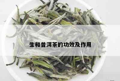 生和普洱茶的功效及作用