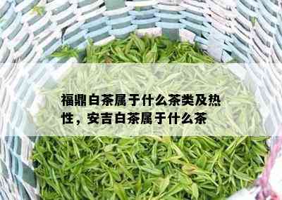 福鼎白茶属于什么茶类及热性，安吉白茶属于什么茶