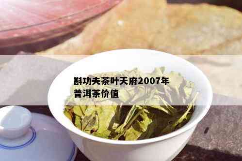 斟功夫茶叶天府2007年普洱茶价值