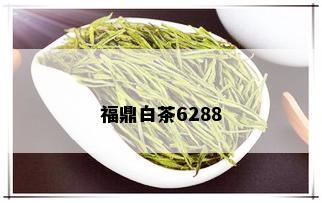 福鼎白茶6288